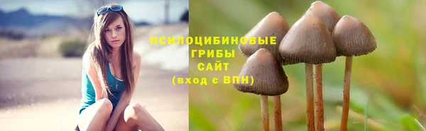 гашик Снежинск