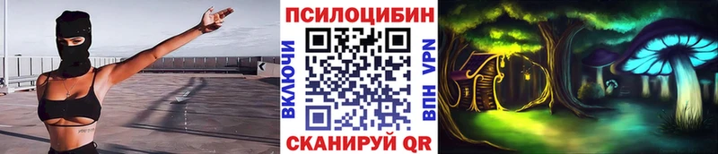 Купить где  Красный Кут  Псилоцибиновые грибы прущие грибы 